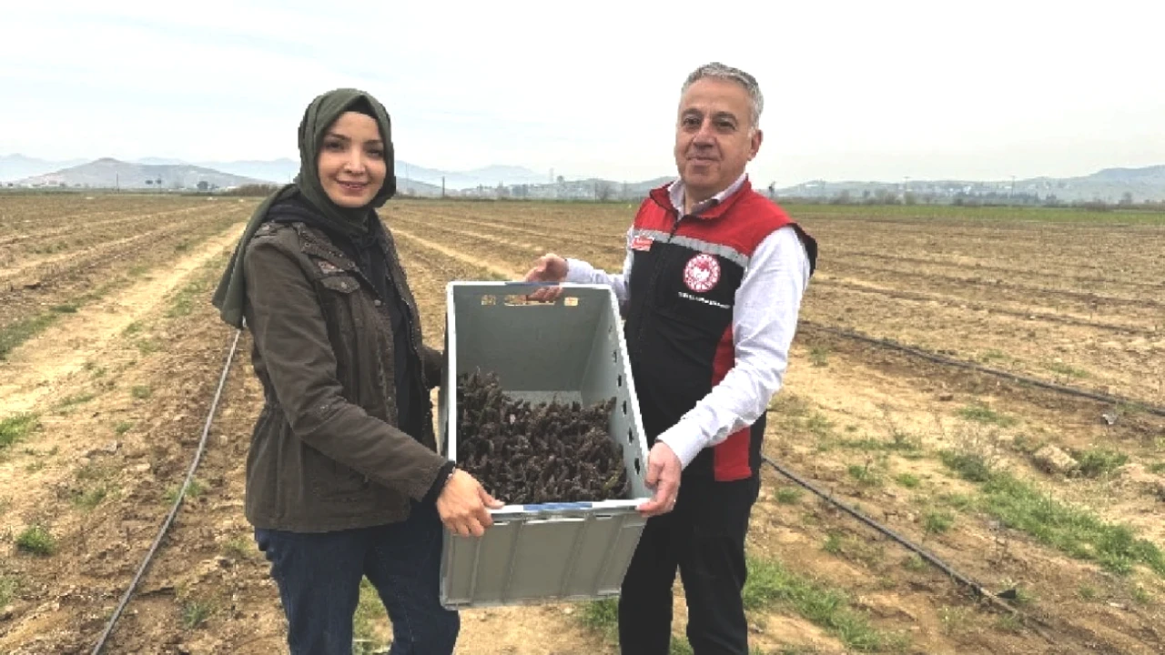 Yurt Dışında Keşfedilen Yenilik! 3 Yılda Üretti, Şimdi İhracat Hedefliyor!